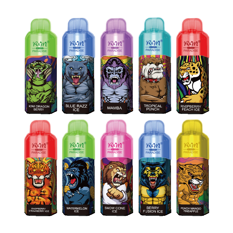Factory d'usine en gros bobine RGB Lumière 2% 5% Salt Nicotine Vape Vape 8K Puffs Randm R&M Paradise