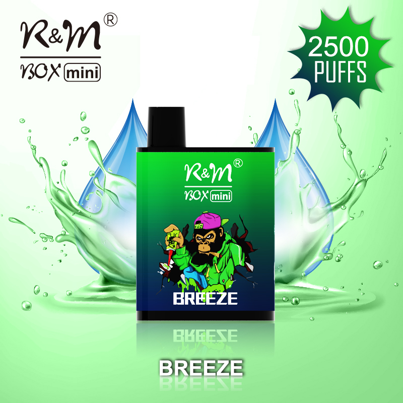 R&M Box Mini 2500 Puff Good Goûts Vape | Vape Fabricant