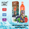 R&M PARADISE En Stock Irlande 2% Vape Jetable