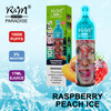 R&M PARADISE Australia 10K Puffs Sub Ohm Vape jetable
