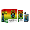 12 saveurs Good Taste R&M Rasta 5500puffs Mesh Coil Cloud Beast USK UK Wholesale OEM Brand Elf Bar Model Hyde Rechargeable Disposable Vape