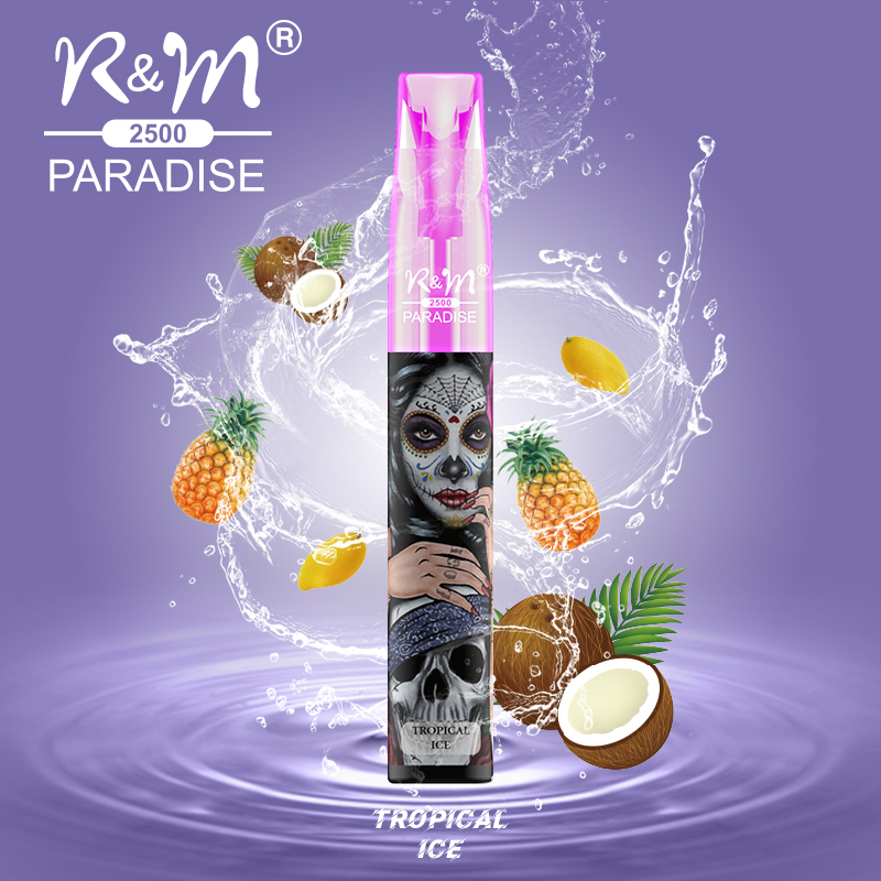 R&M Paradise Mini Europe 2% Salt Nicotine 2500 Puffs Personnalisez la marque jetable vape