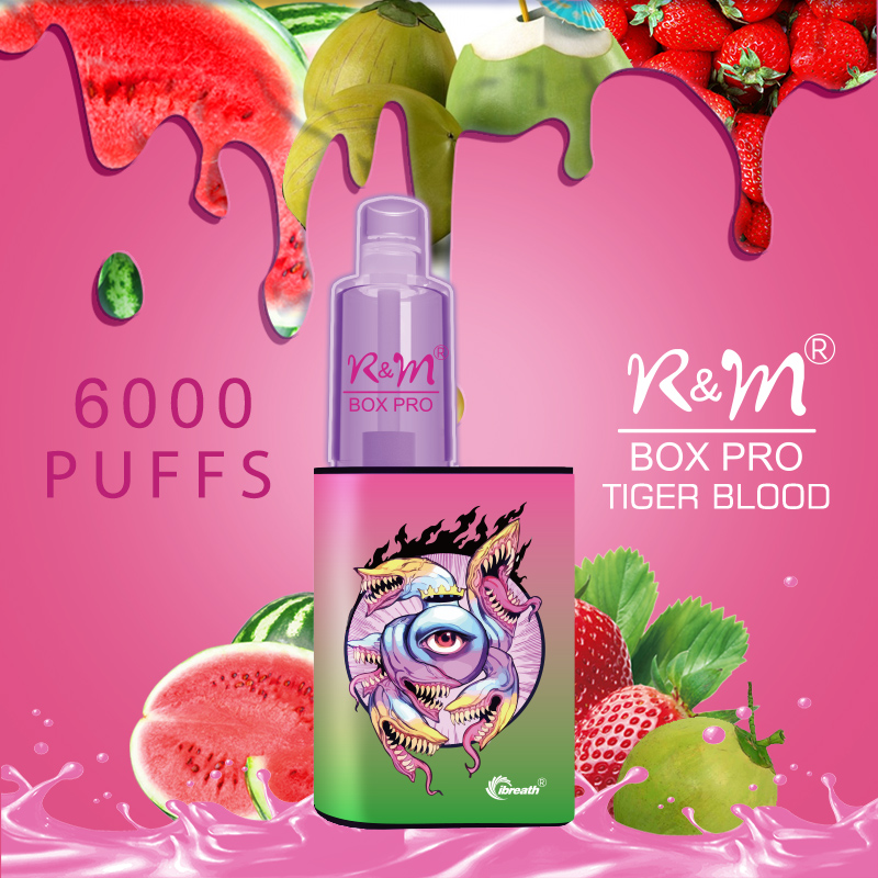 R&M Box Pro Canada Personnalisez la marque jetable vape | En gros stylo vape