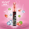 R&M Paradise Mini Europe 2% Salt Nicotine 2500 Puffs Personnalisez la marque jetable vape